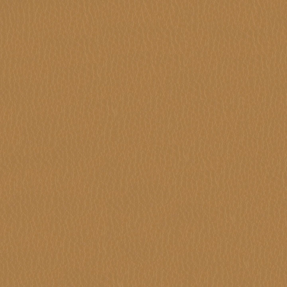 Emotion 218124