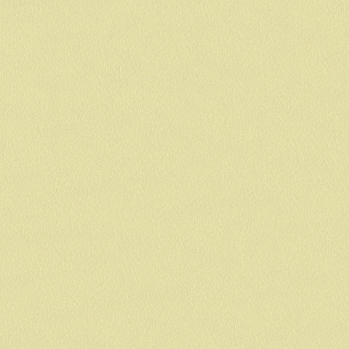 Emotion 219005