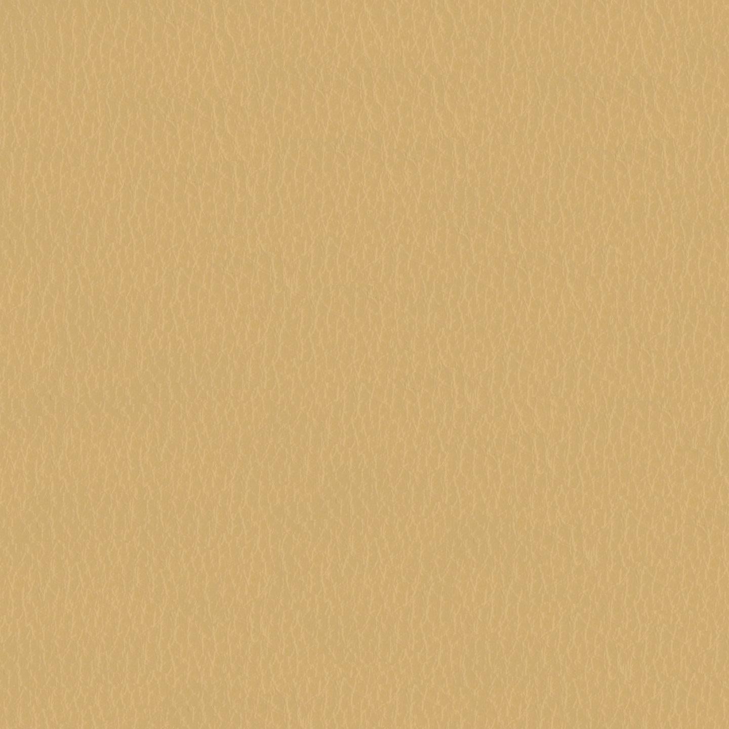 Emotion 221104