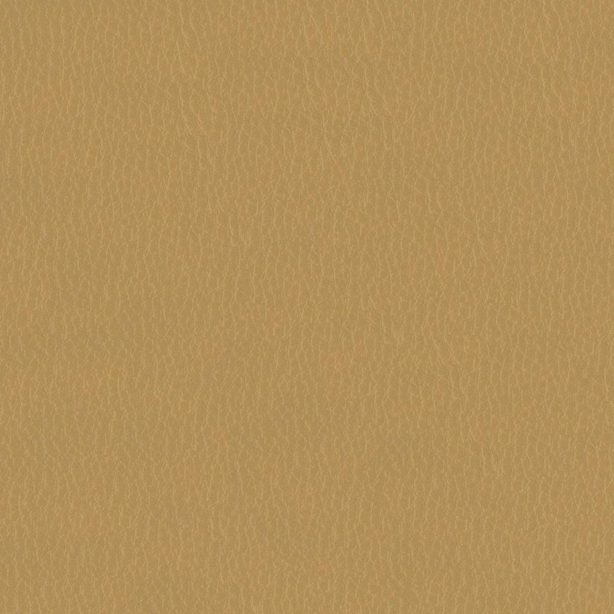 Emotion 222114