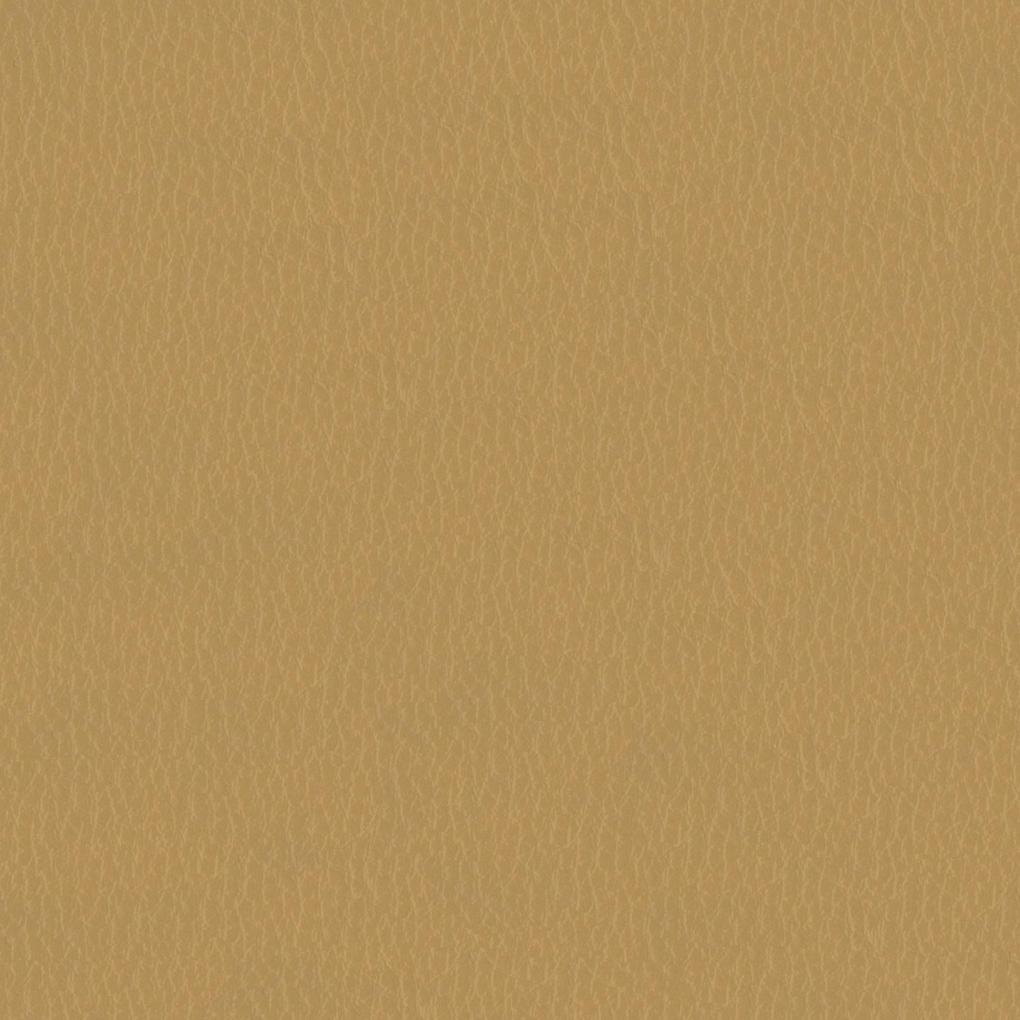 Emotion 222114