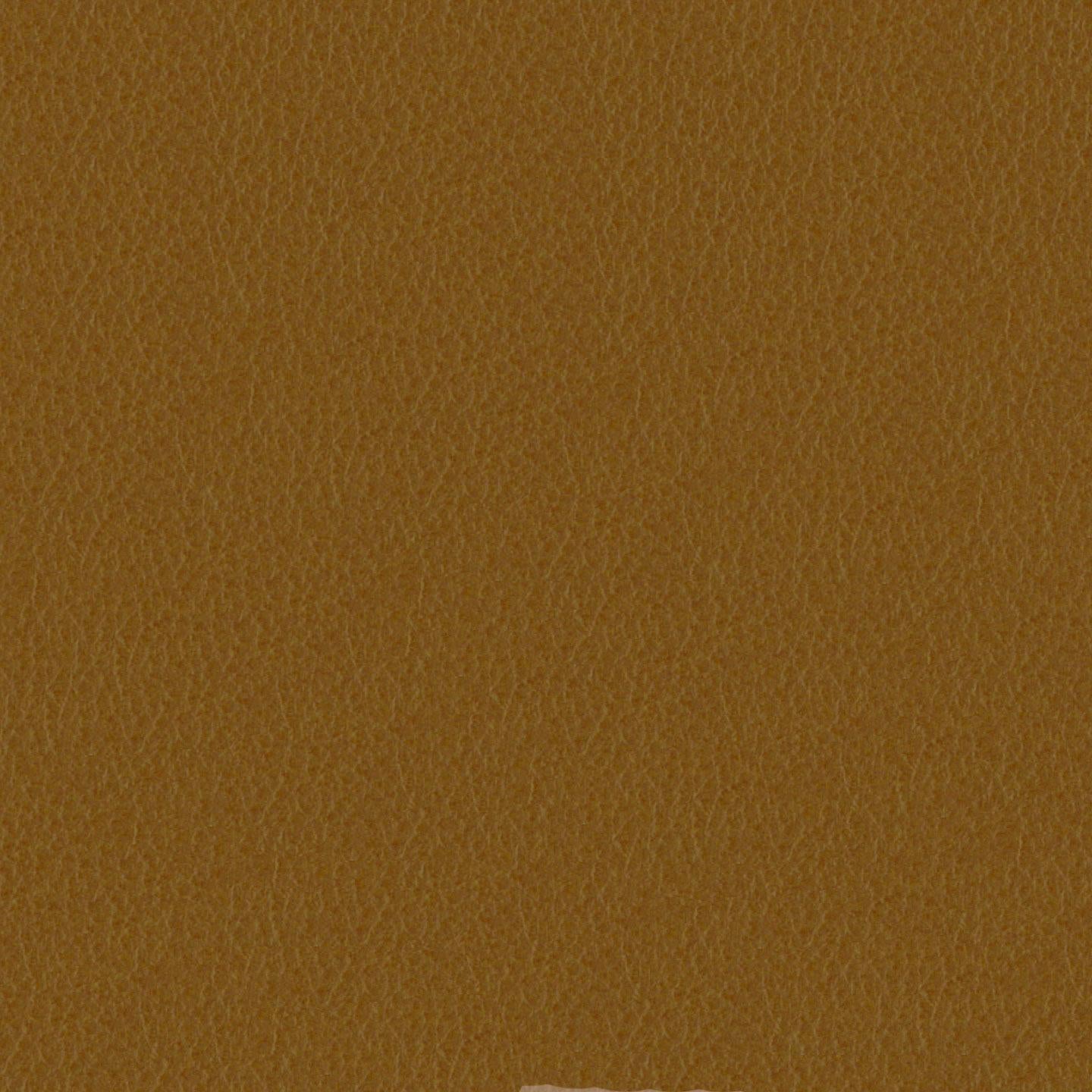 Emotion 223154