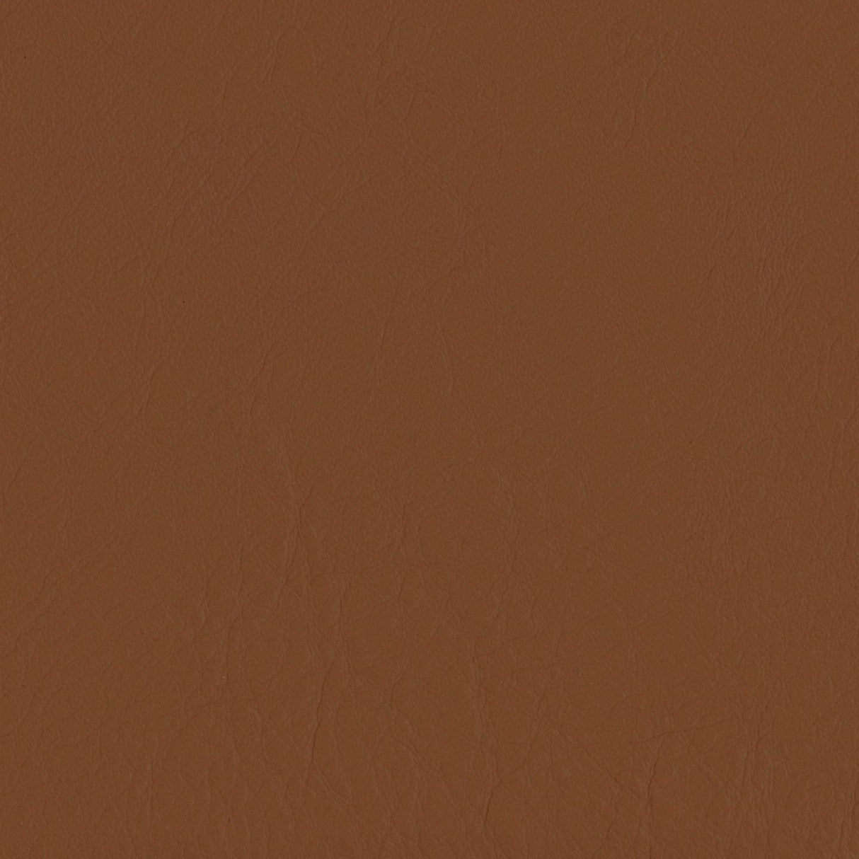 Emotion 228274