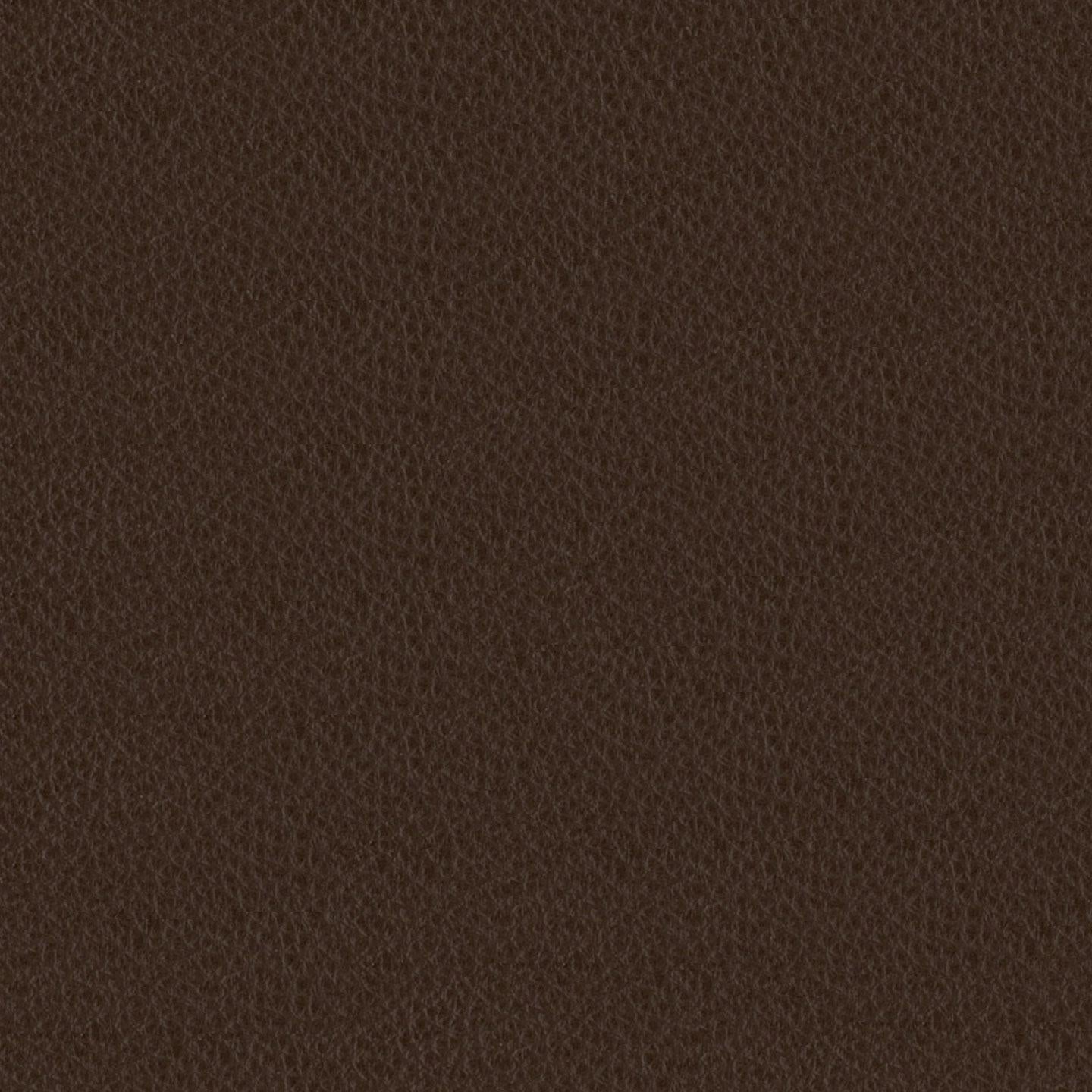 Emotion 231374