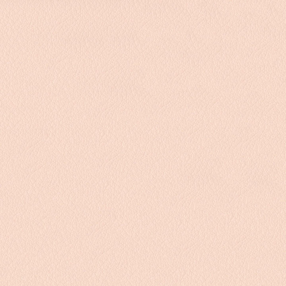 Emotion 237013