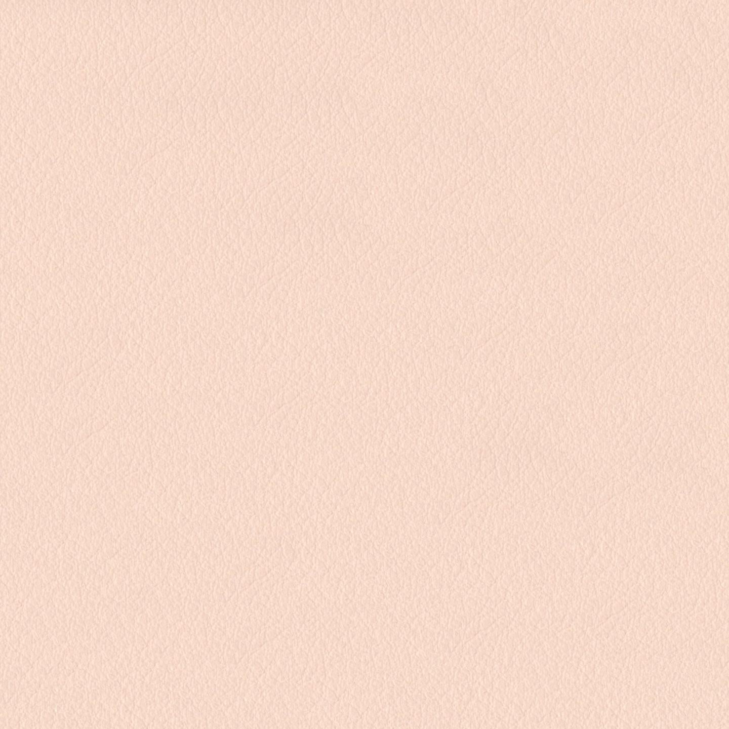 Emotion 237013