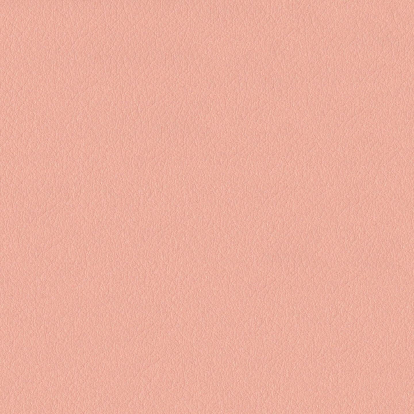 Emotion 238023