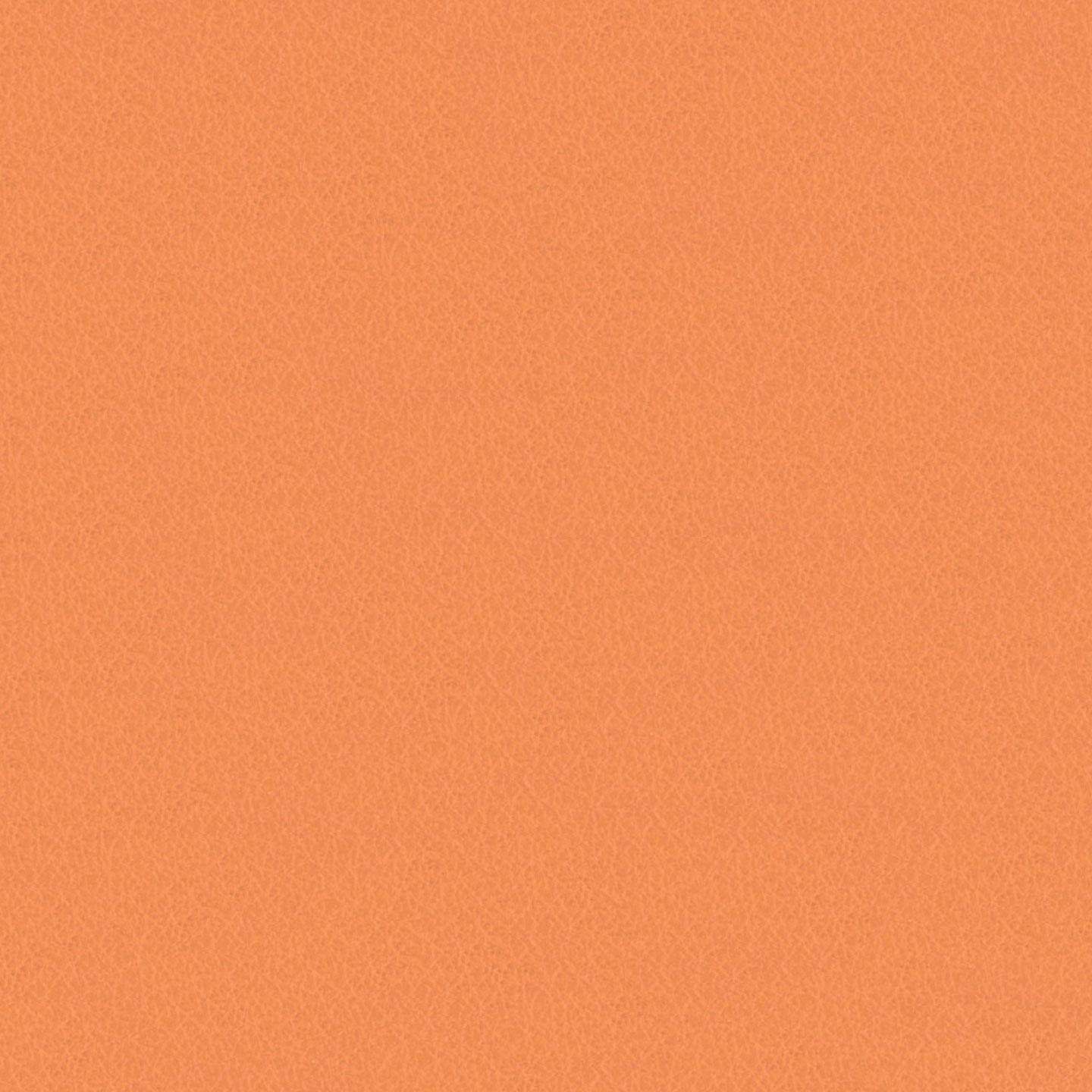 Emotion 244019