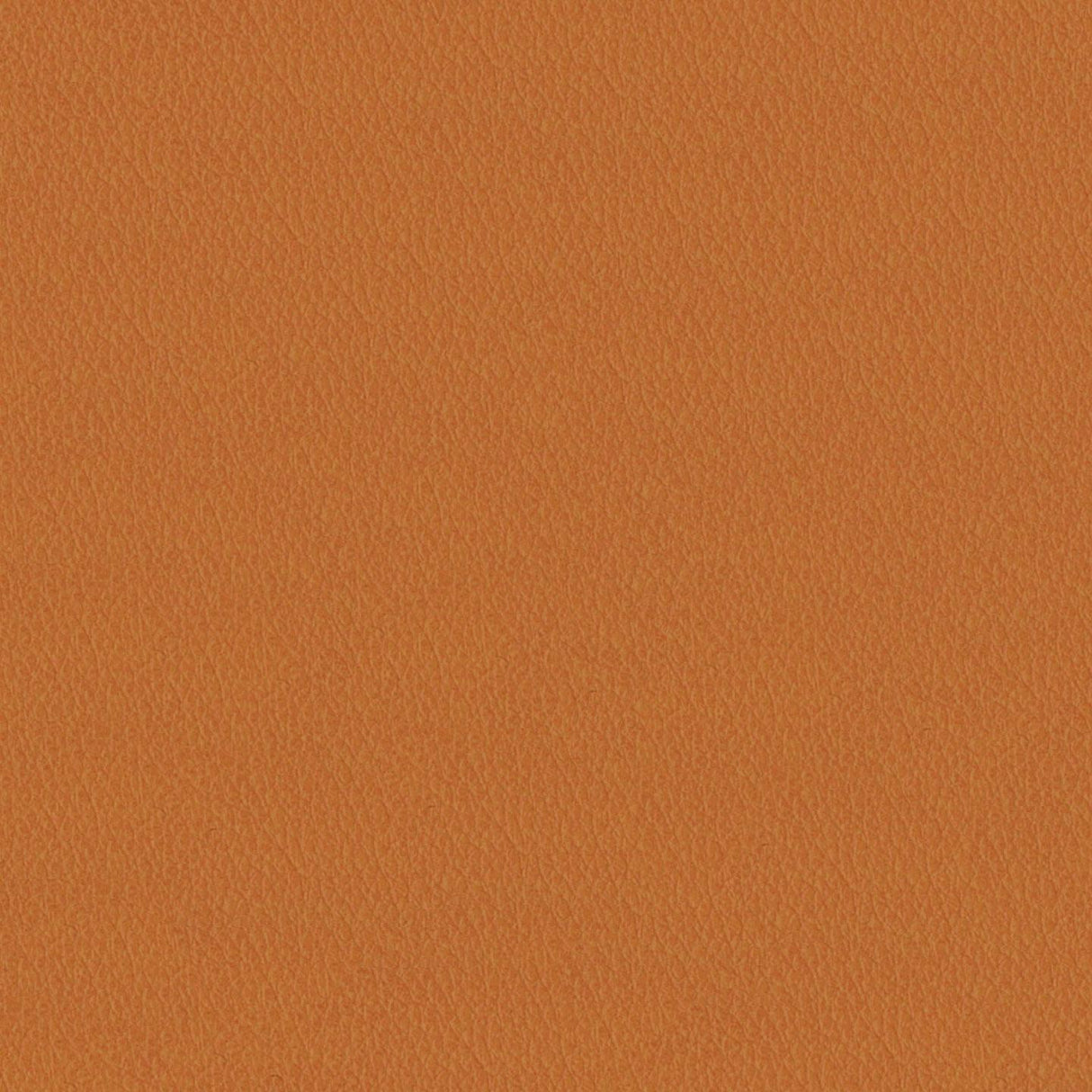 Emotion 246029