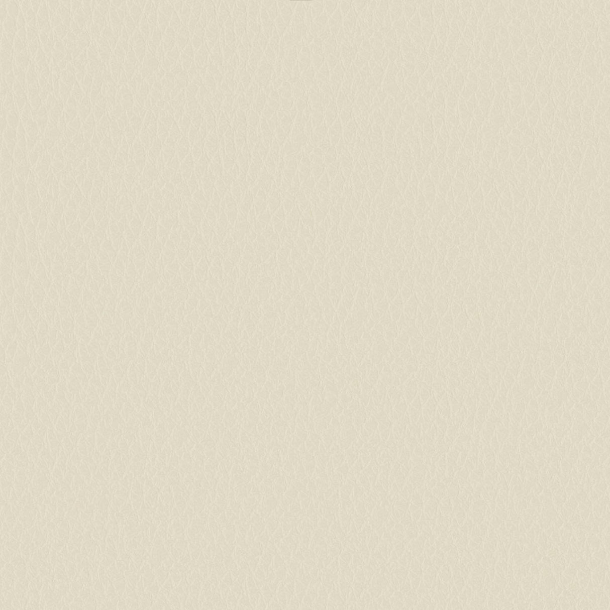 Emotion 253024