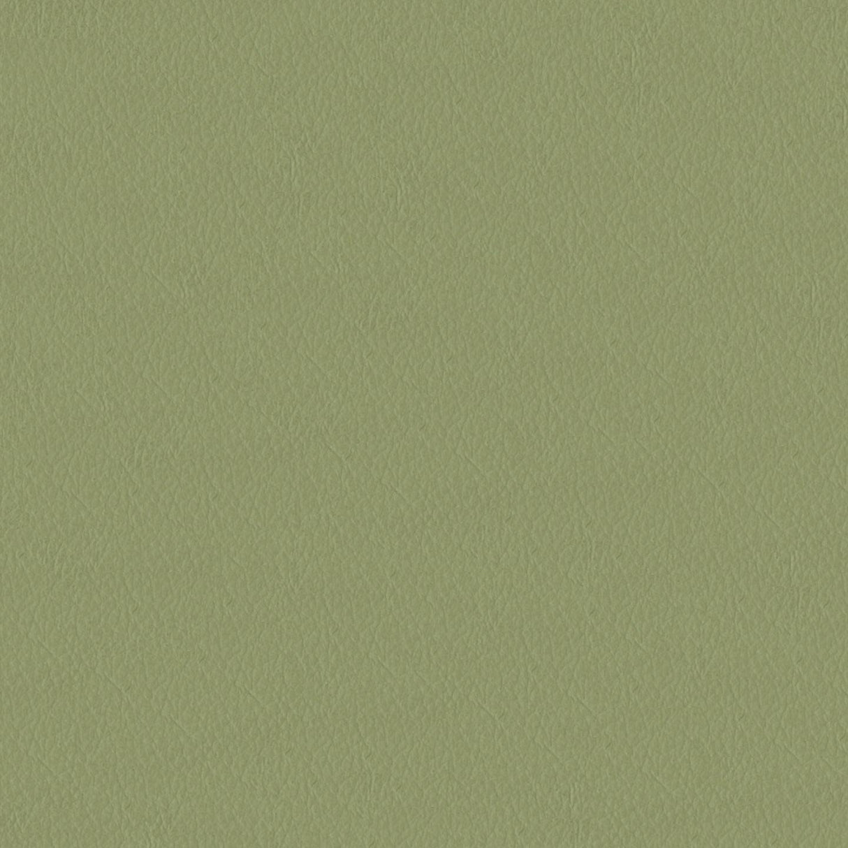 Emotion 255118