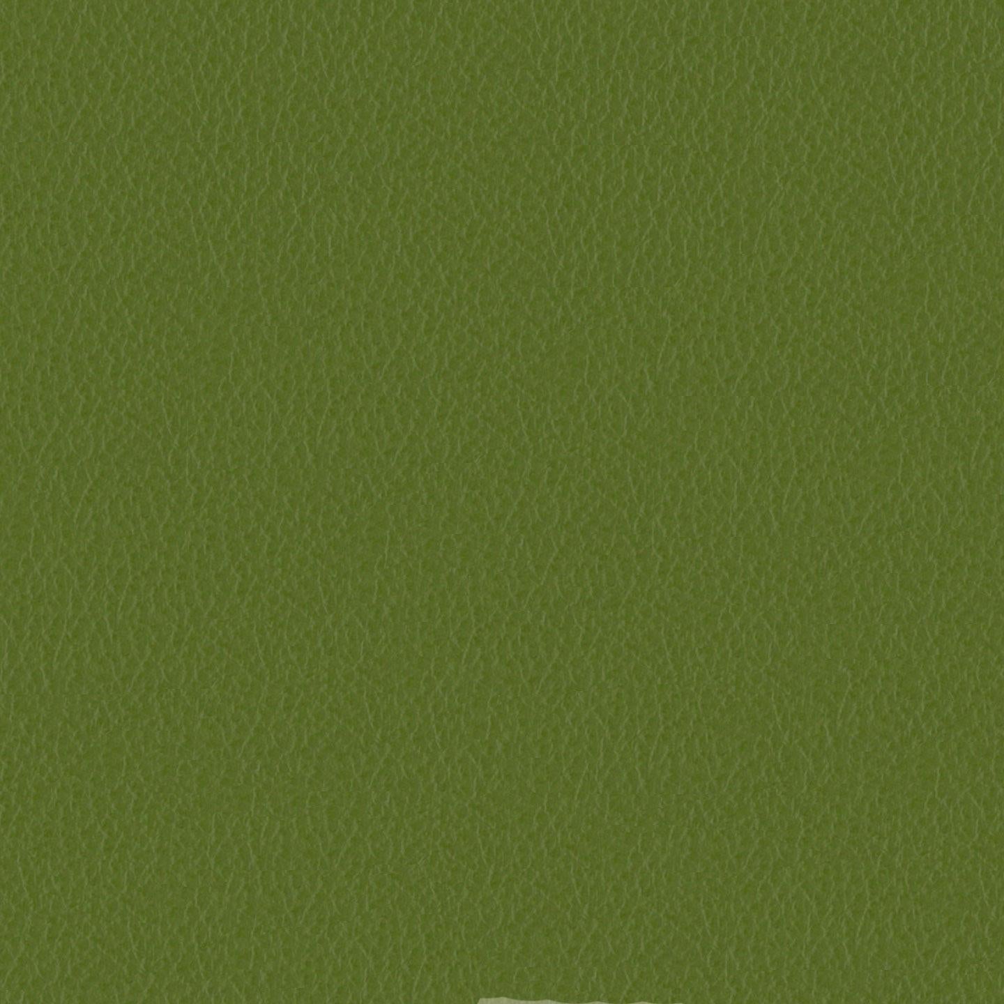 Emotion 256128