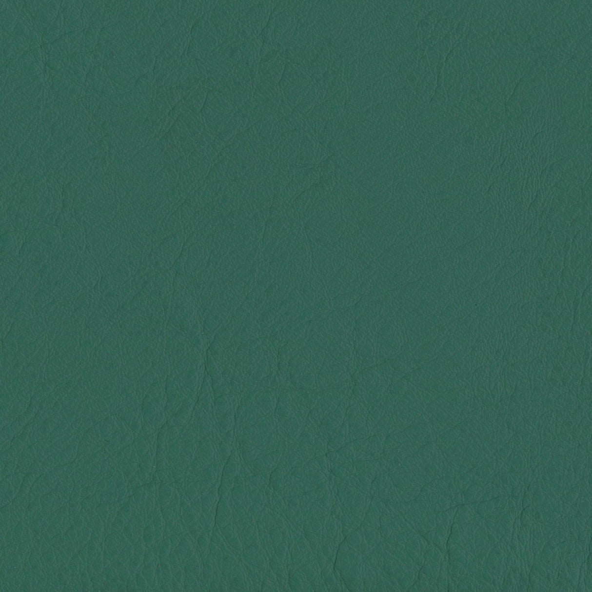 Emotion 261388