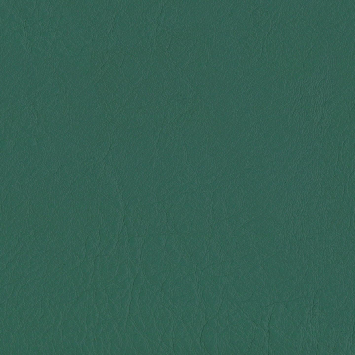 Emotion 261388