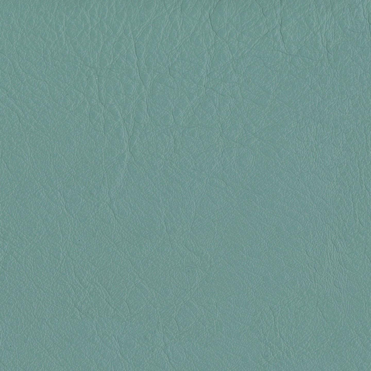Emotion 265218