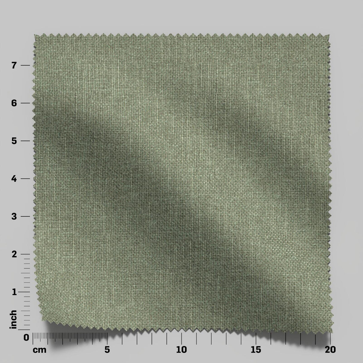 Excel 27 Forest