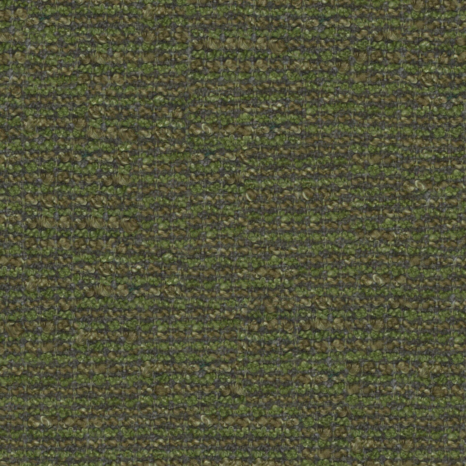 Indiana 08