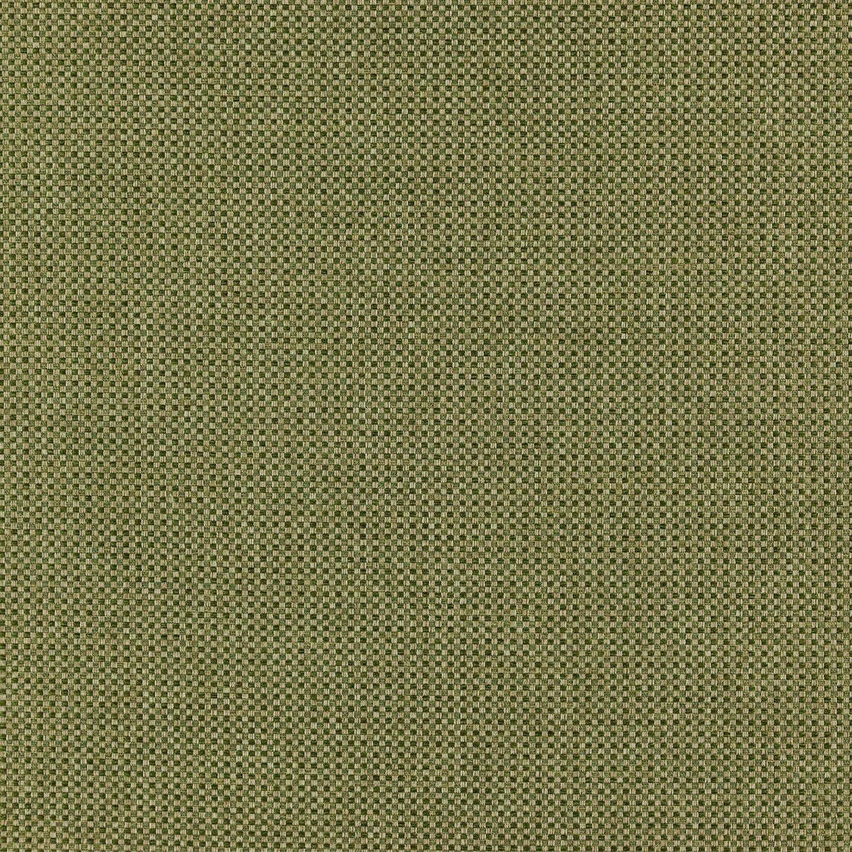 Itami 50