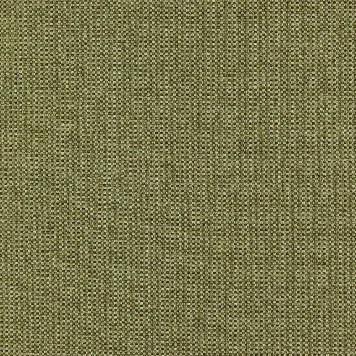Itami 50