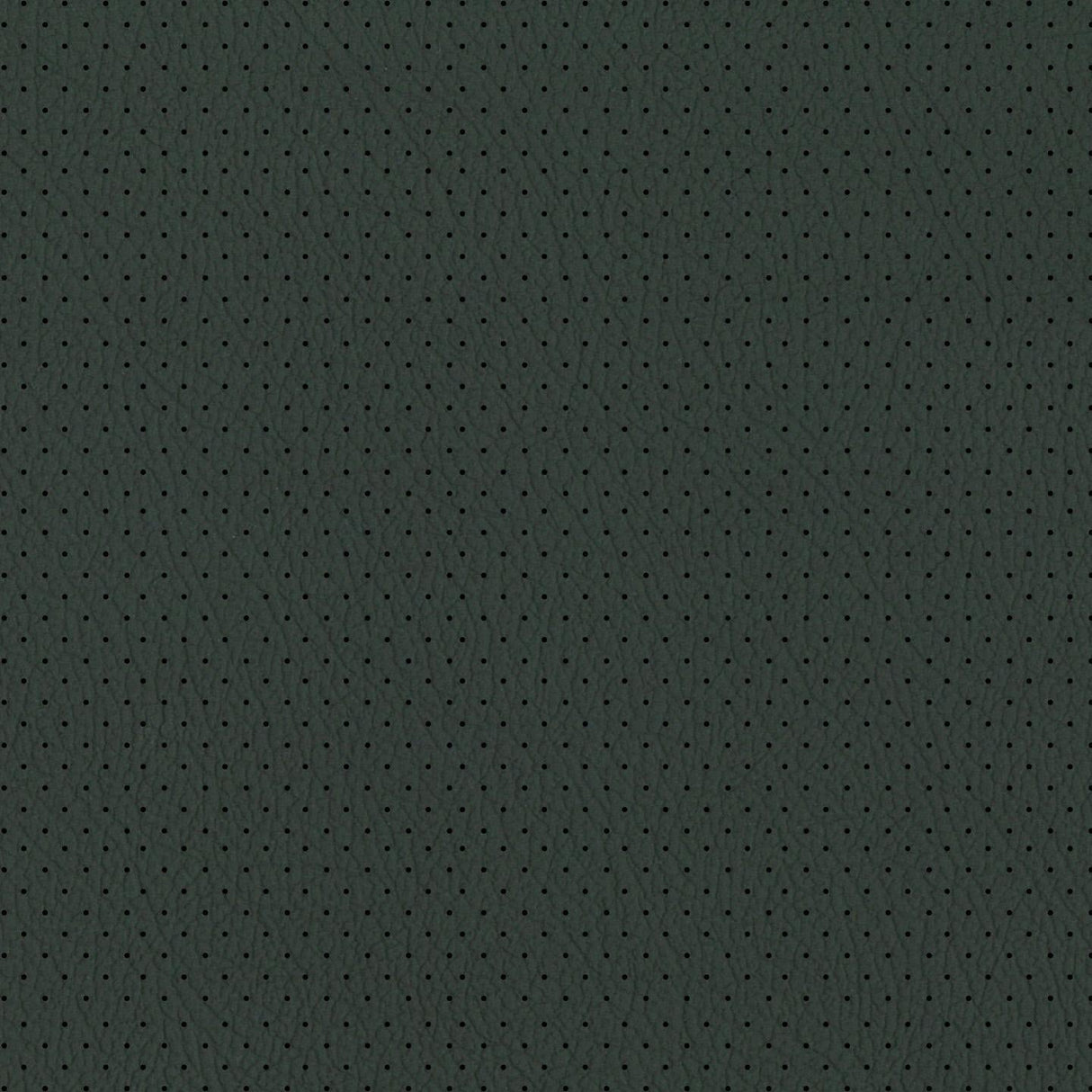 Imola Perforated 100336