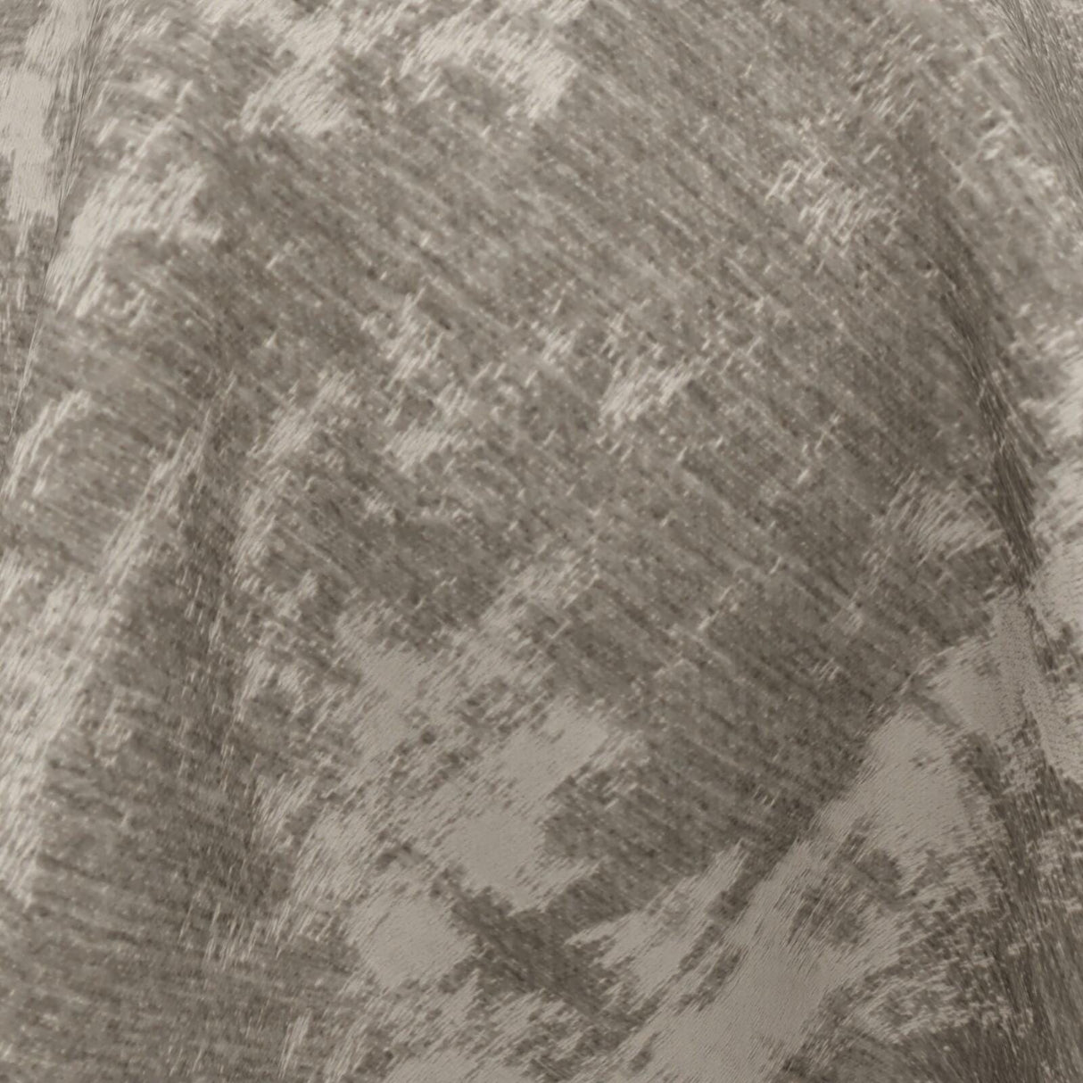 Innovation 09 Funghi