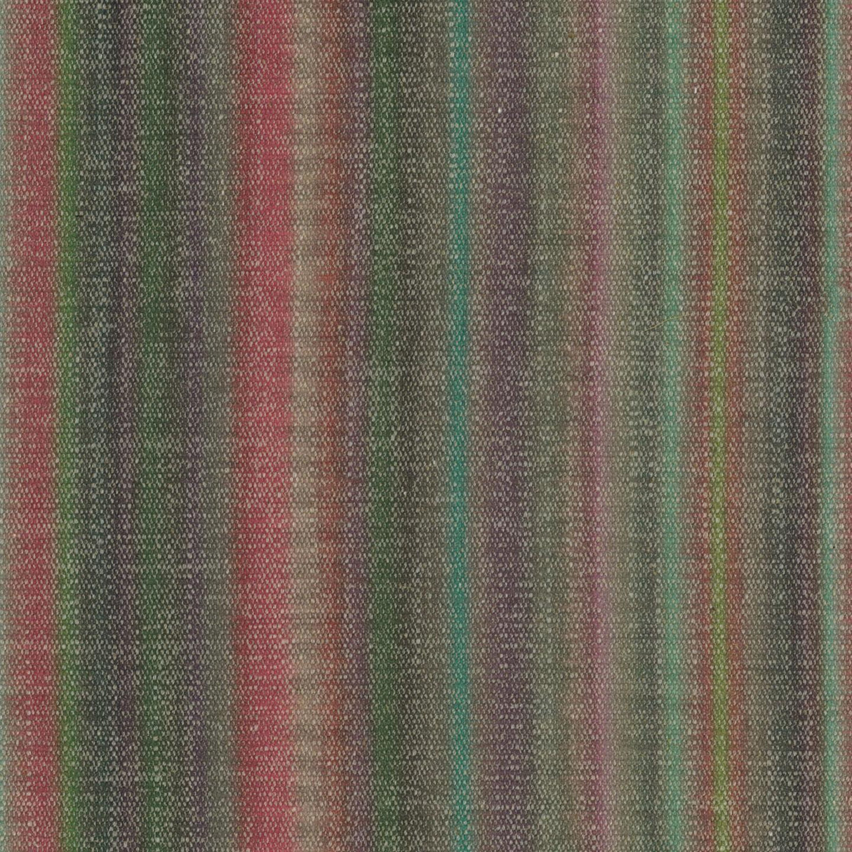 Jungle Stripe T43