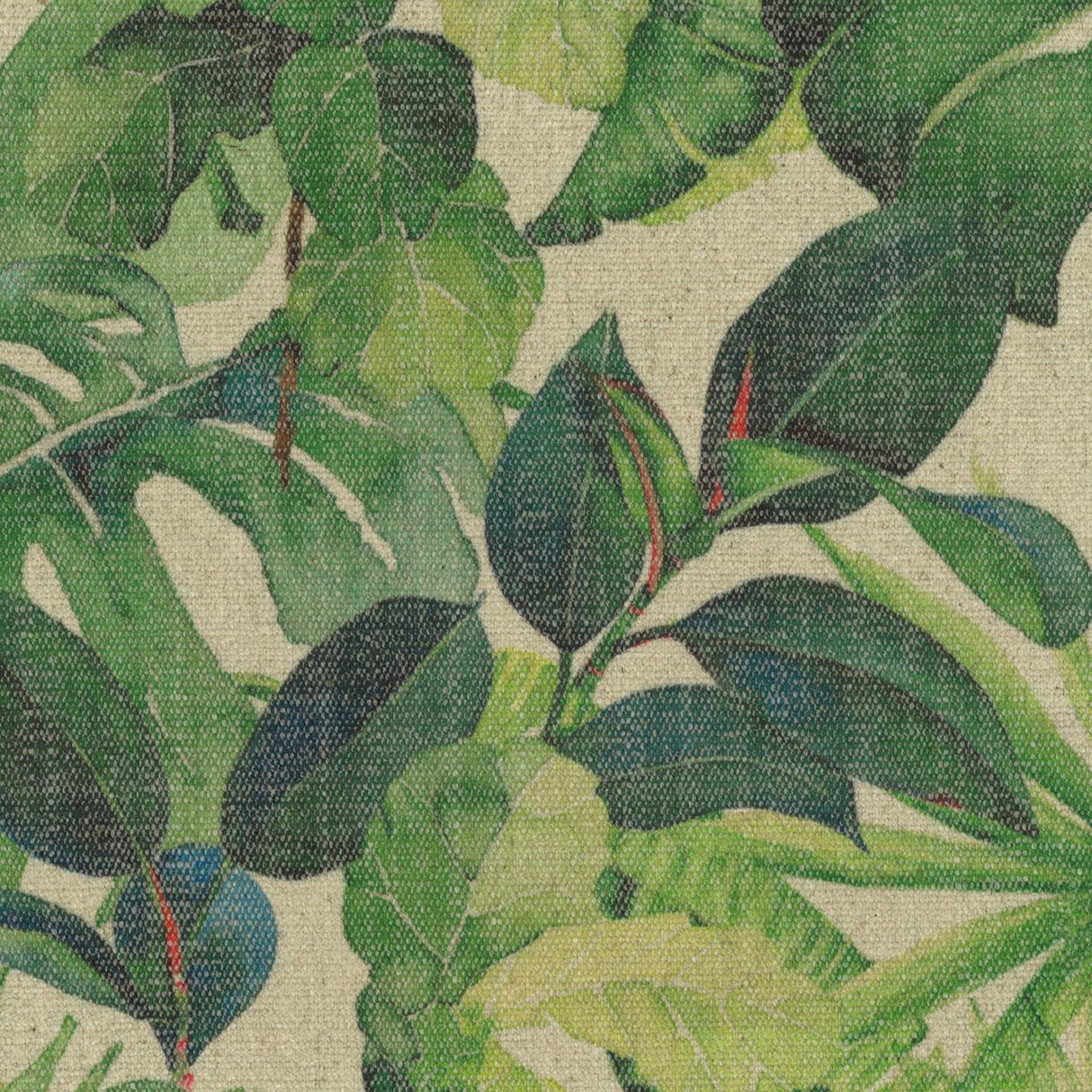 Jungle T38