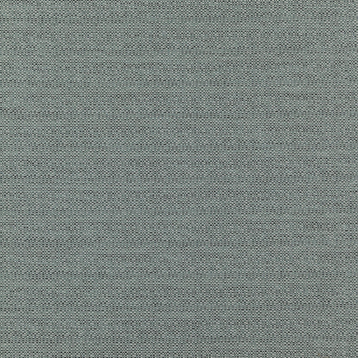 Kampur 36