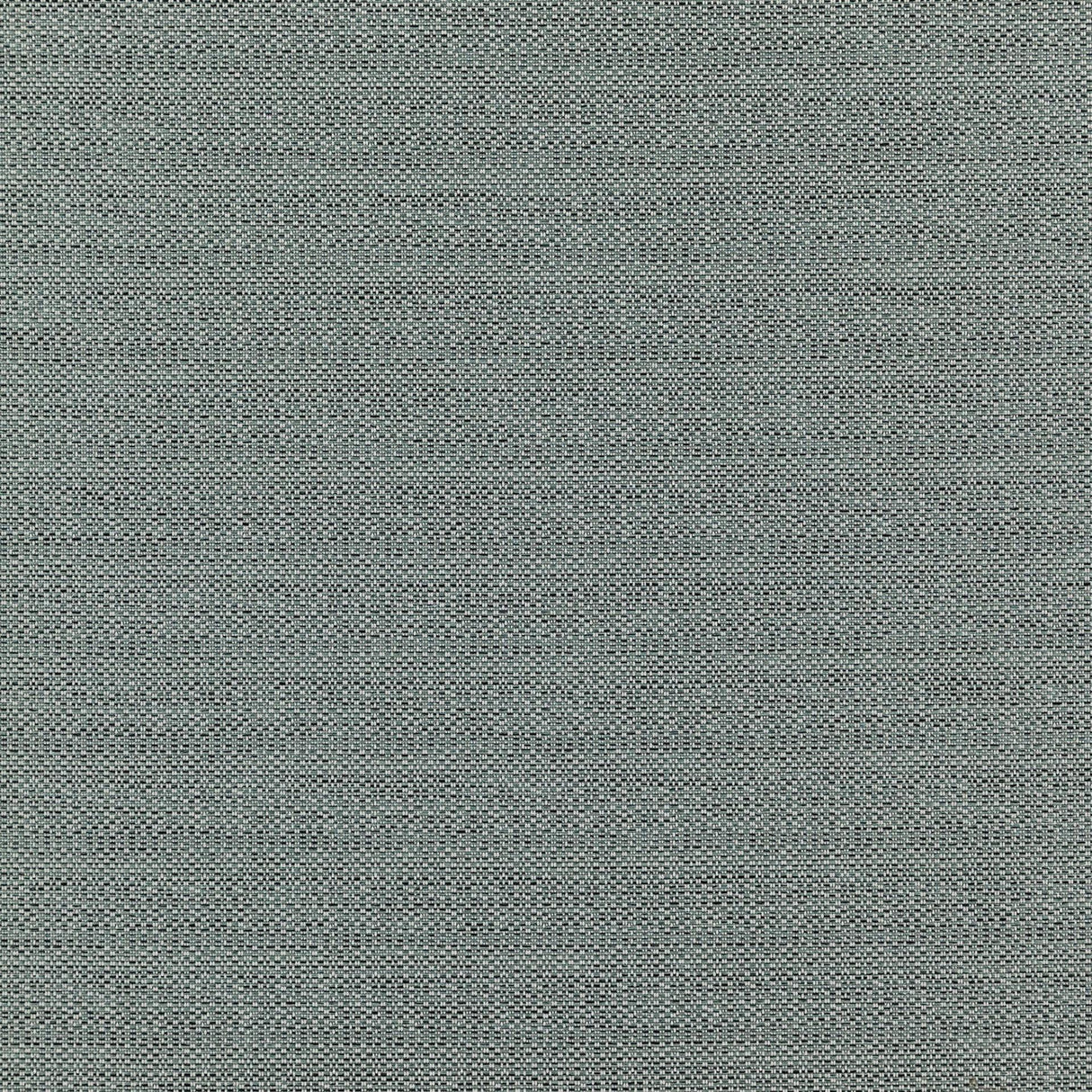 Kampur 36