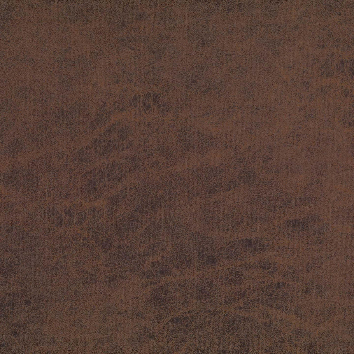 Kinshasa 64