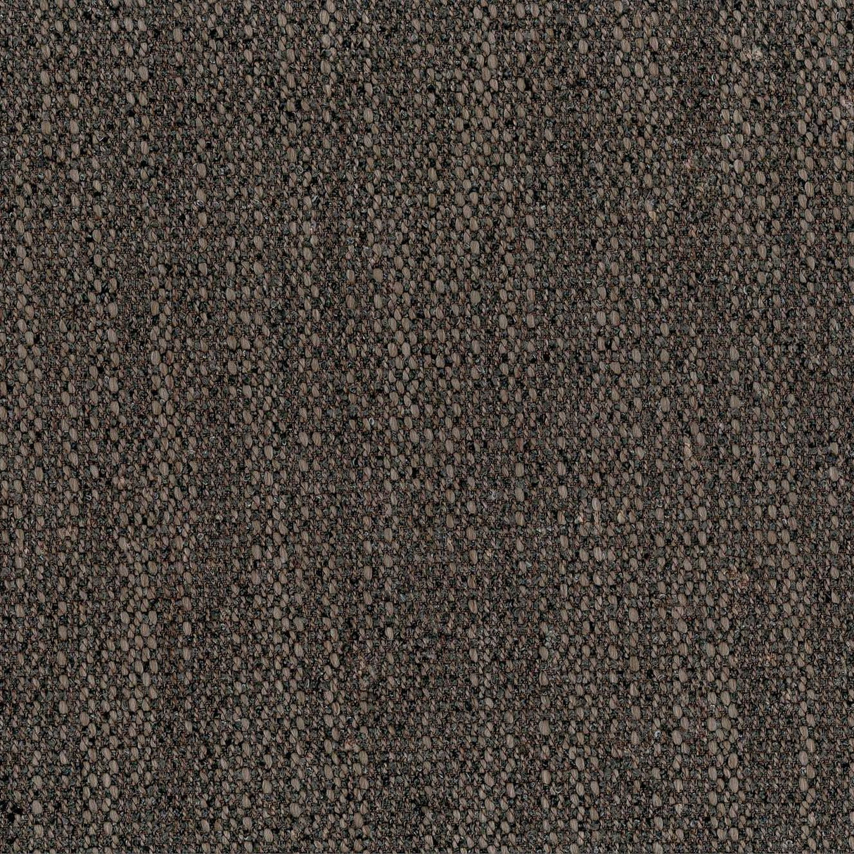 Levana 64