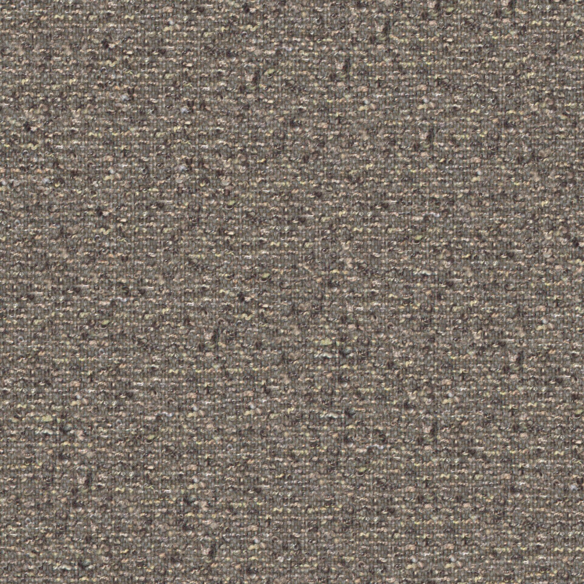 Looplux 11