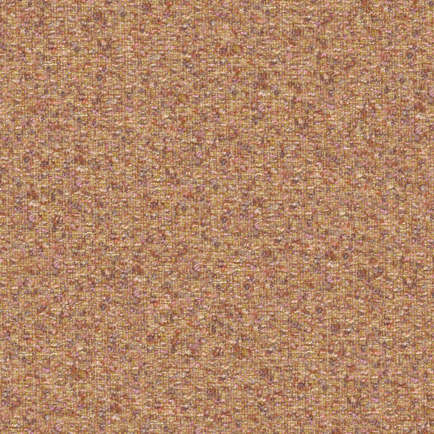 Looplux 24