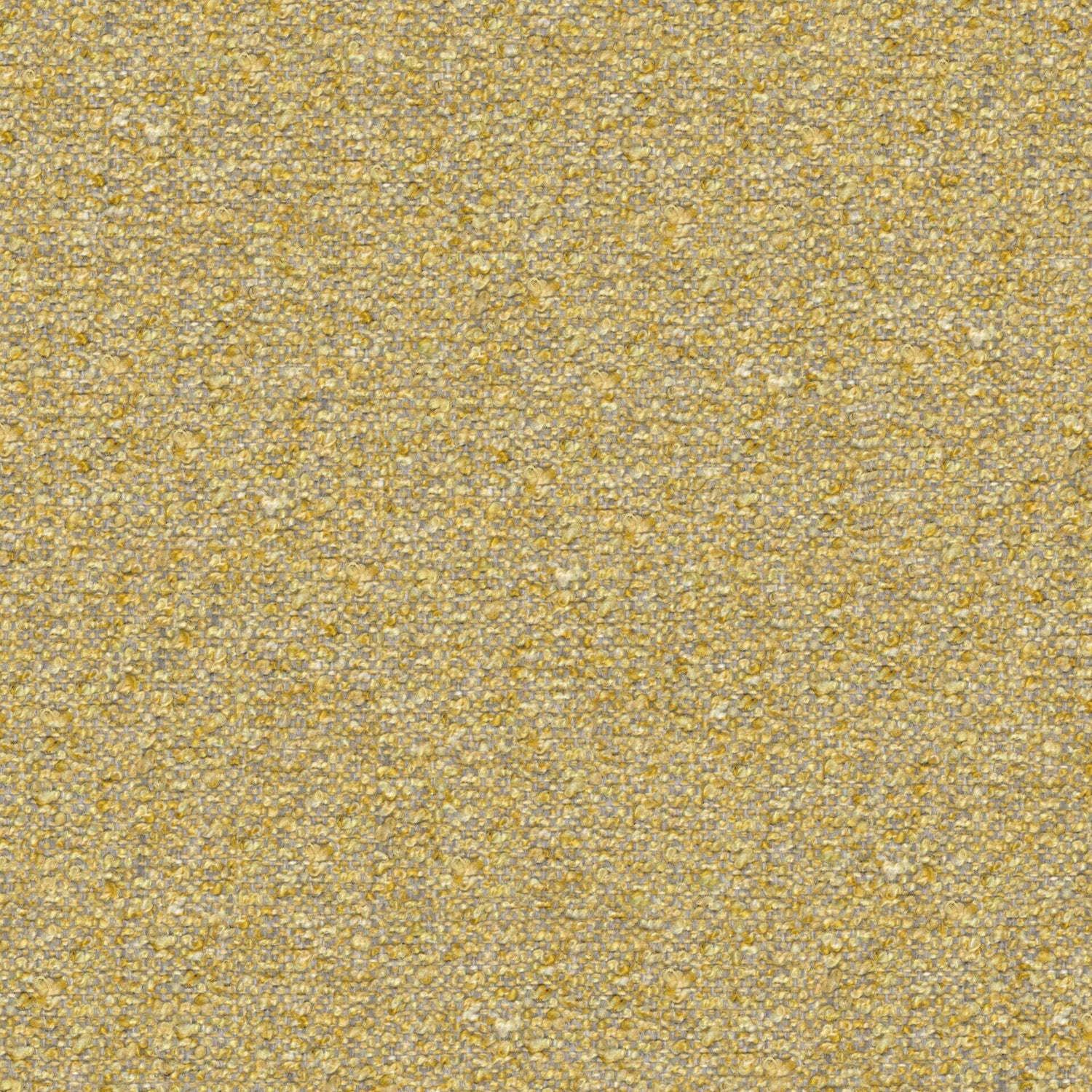 Looplux 25
