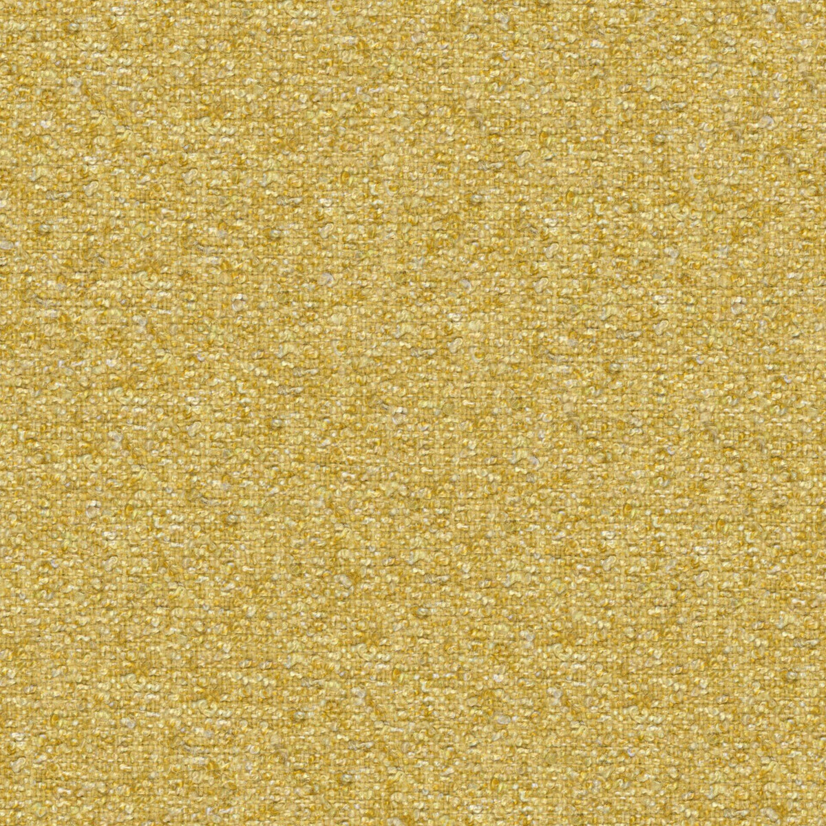 Looplux 26