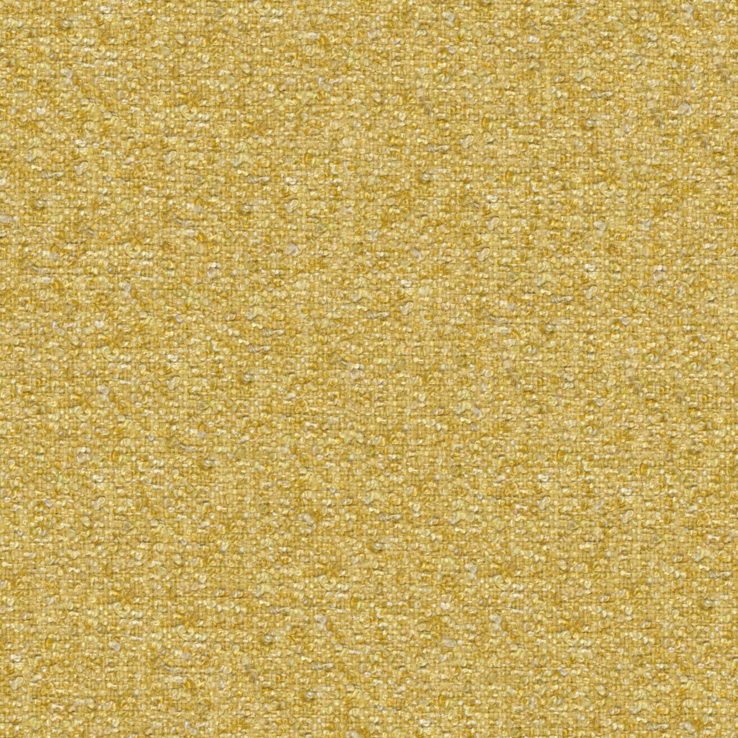 Looplux 26