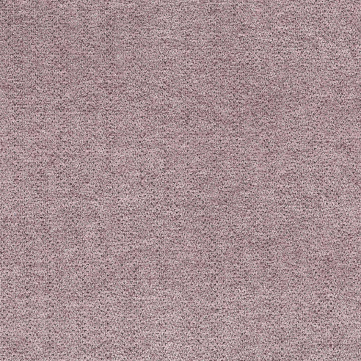 Lanera Stripe T35