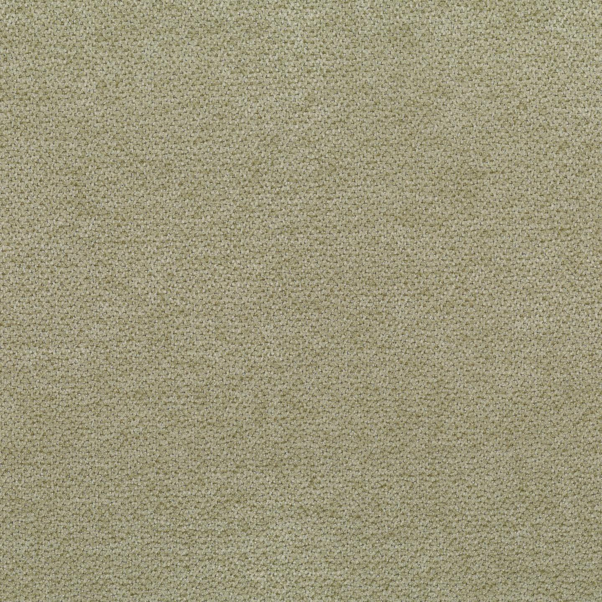 Lanera Stripe T54