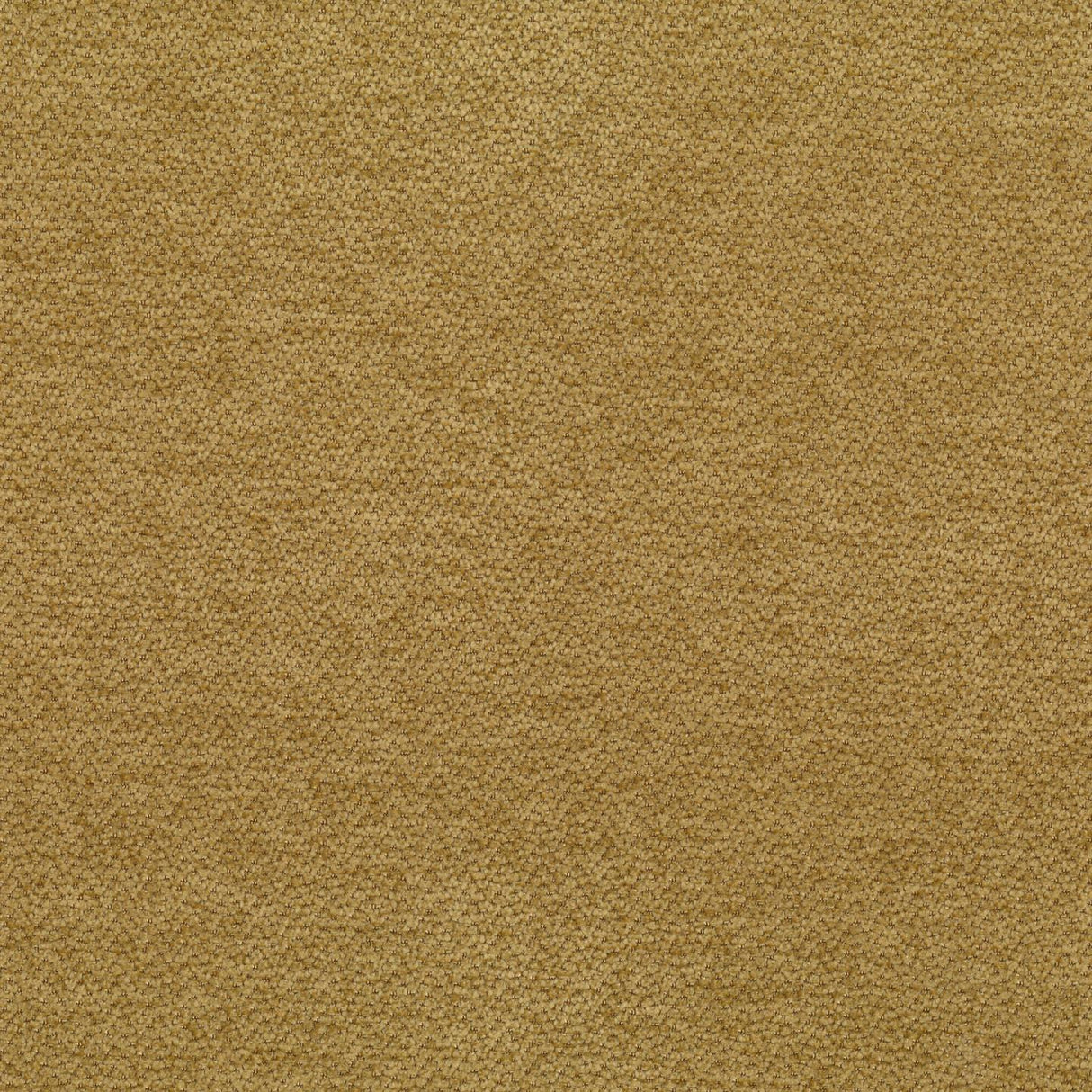 Lanera Stripe T89