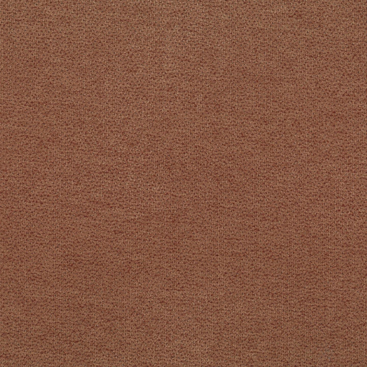 Lanera T44