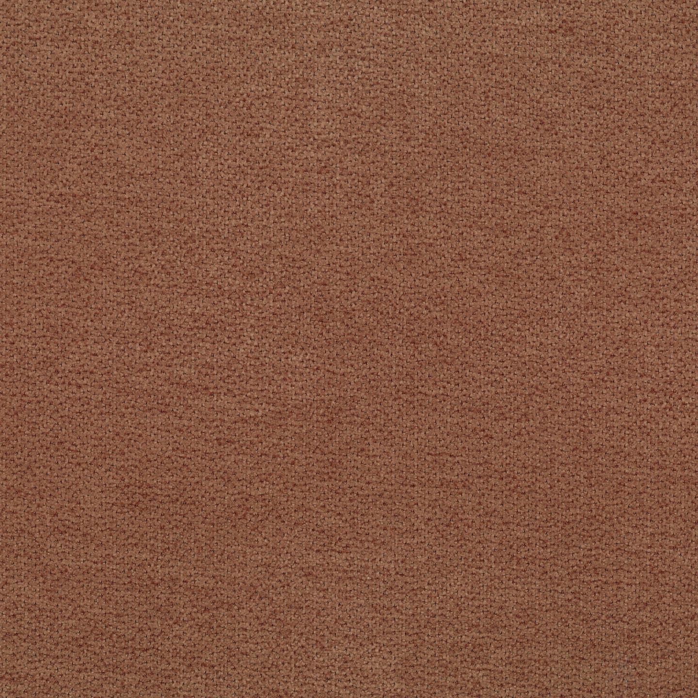 Lanera T44