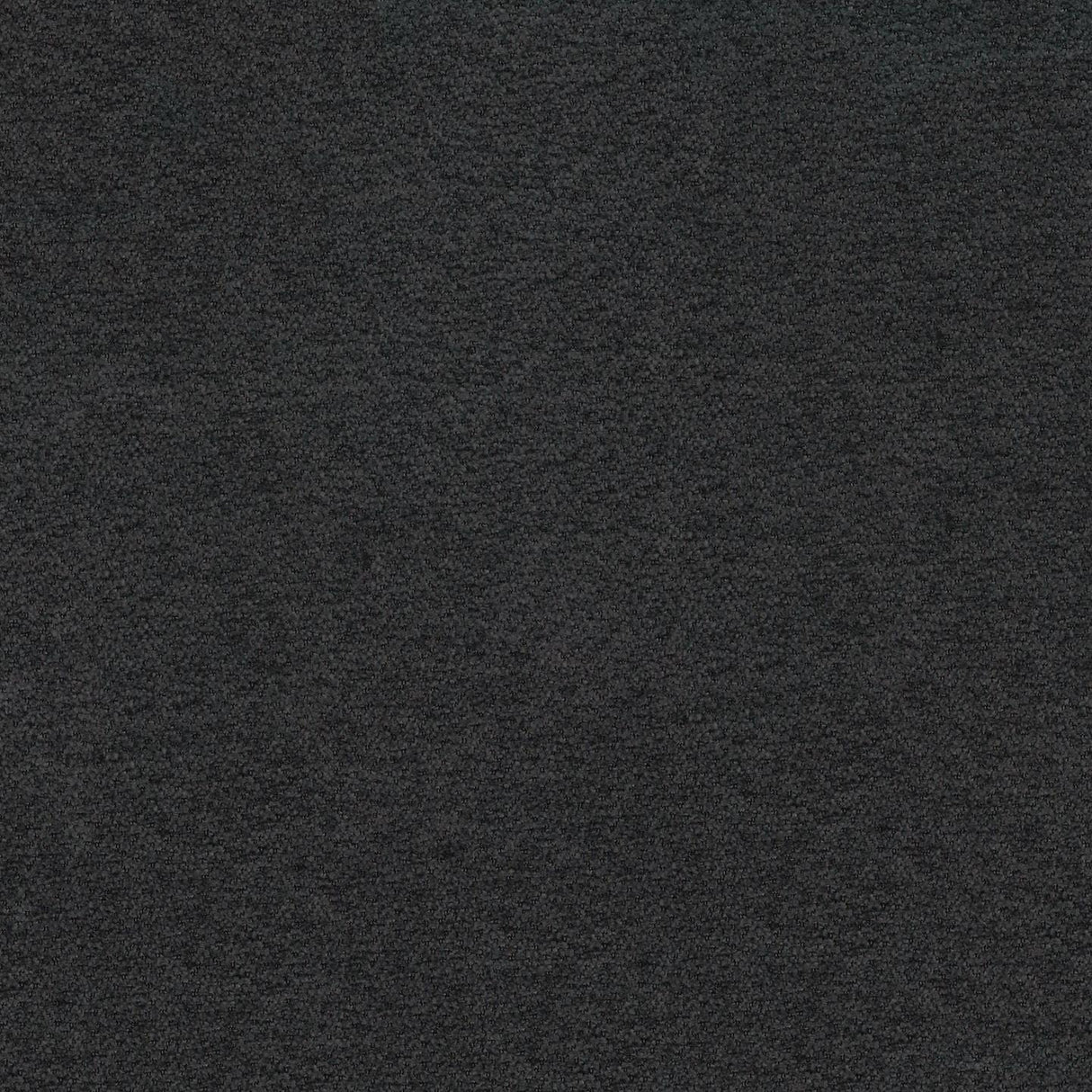 Lanera T54