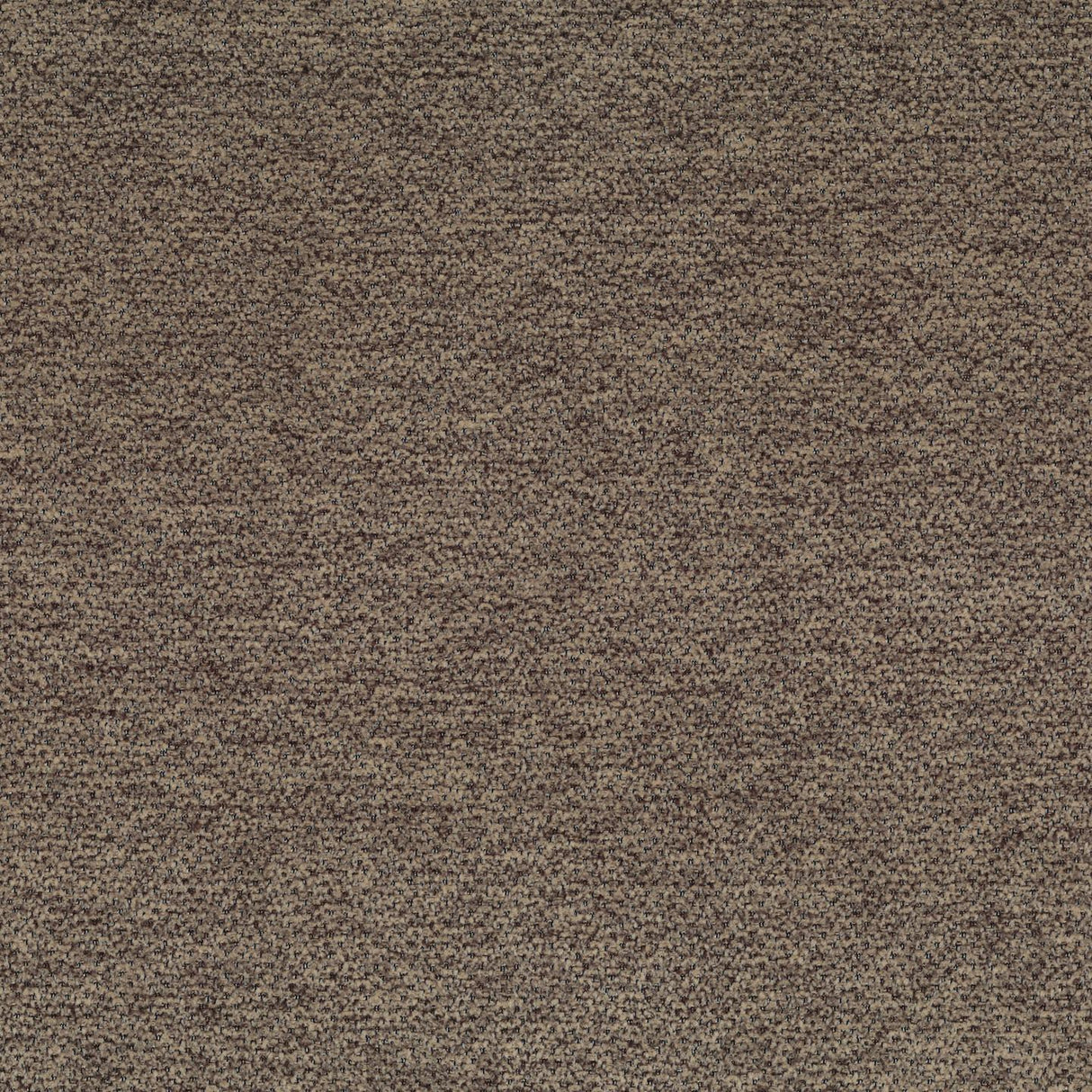 Lanera T59