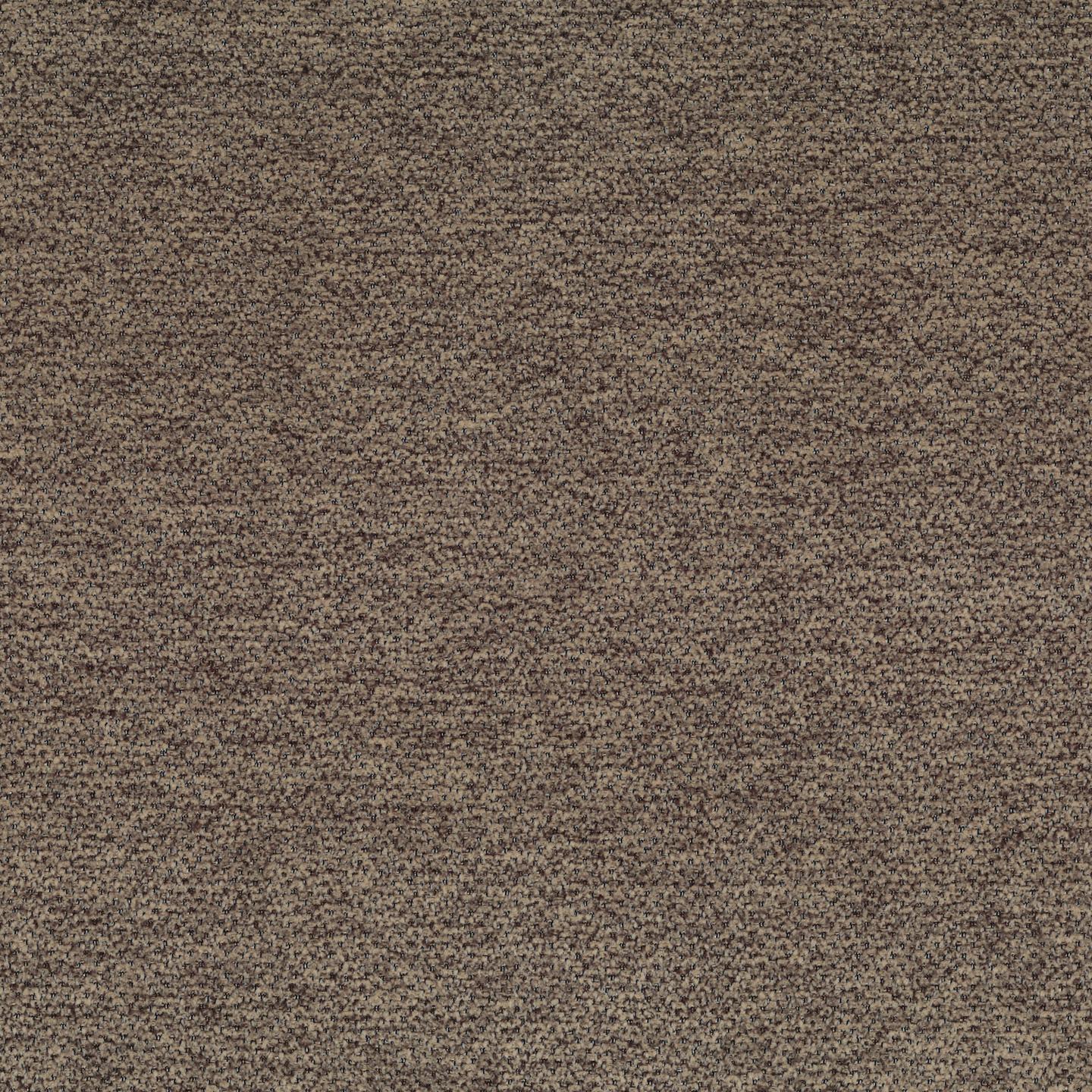 Lanera T59