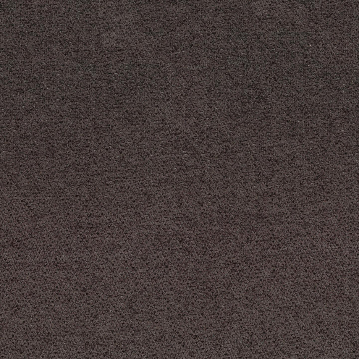 Lanera T99