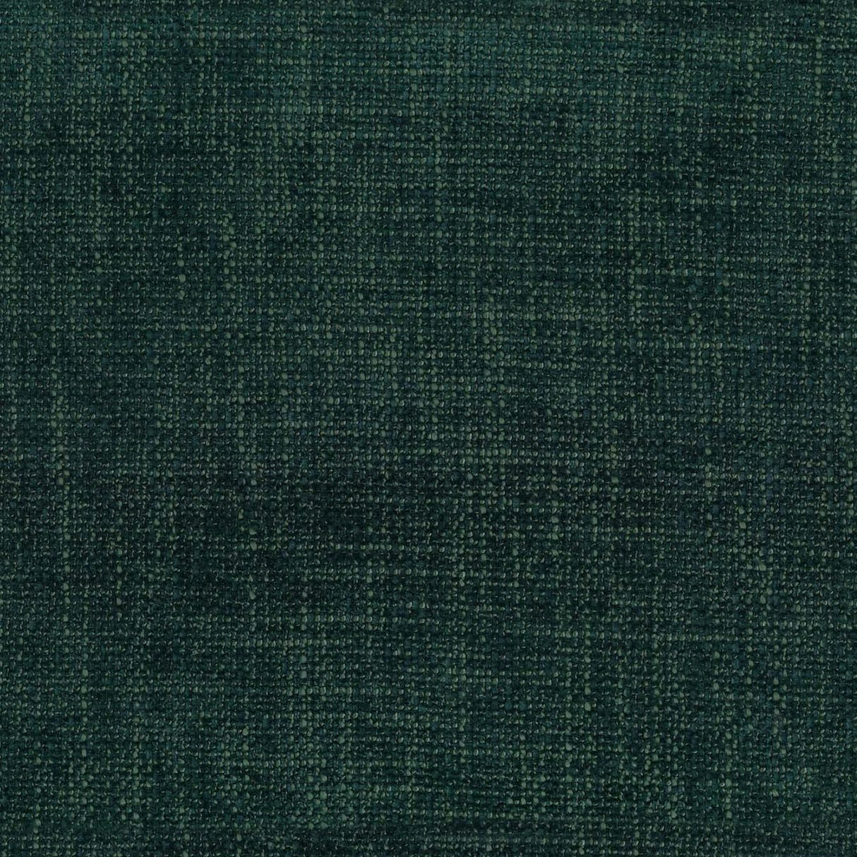 Lyra 38