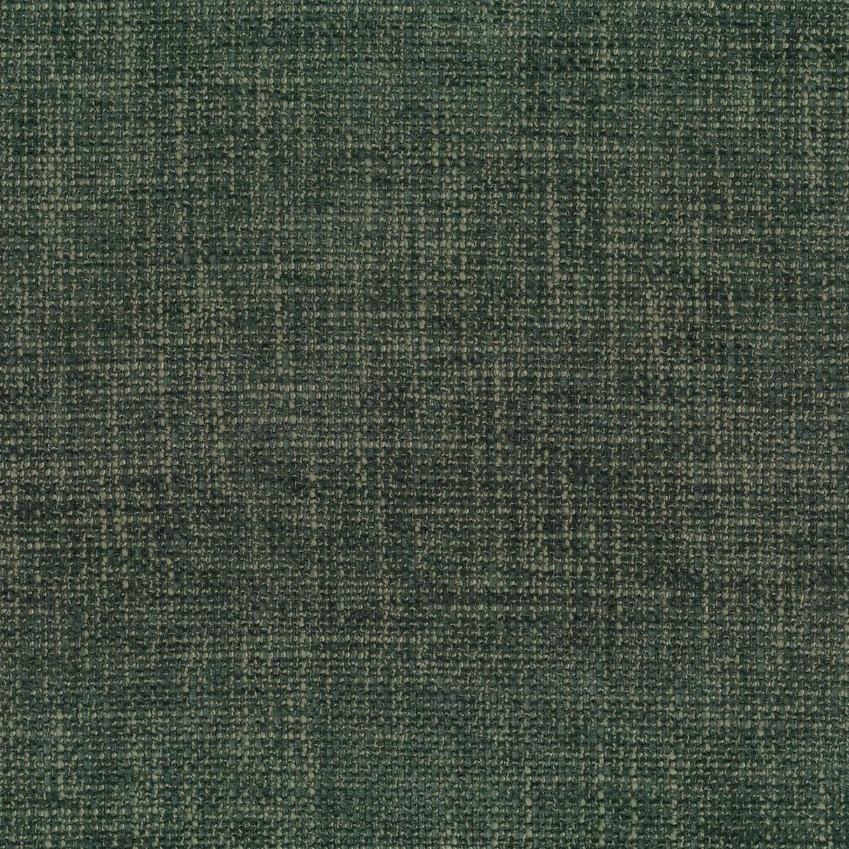 Lyra 48