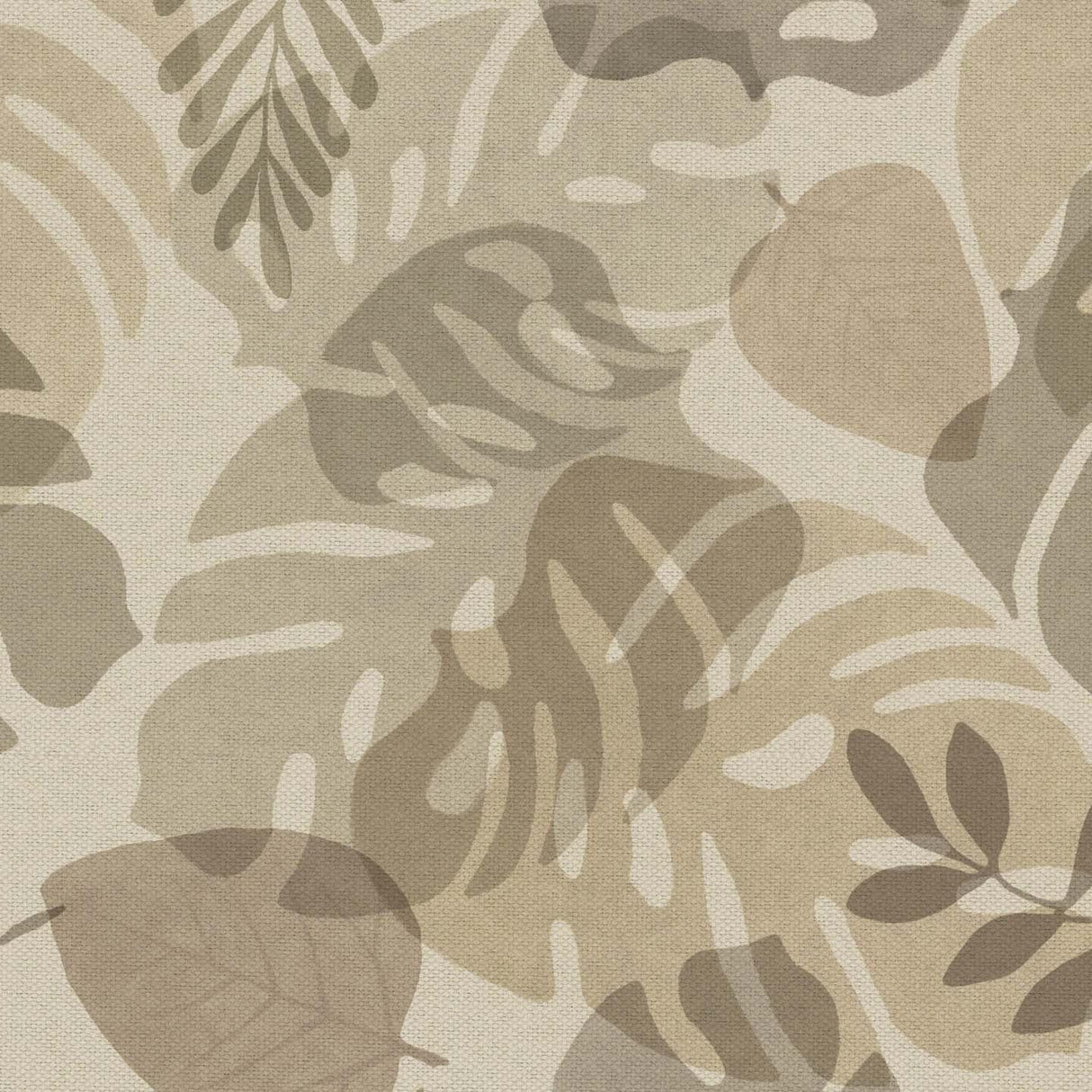 Monstera T104