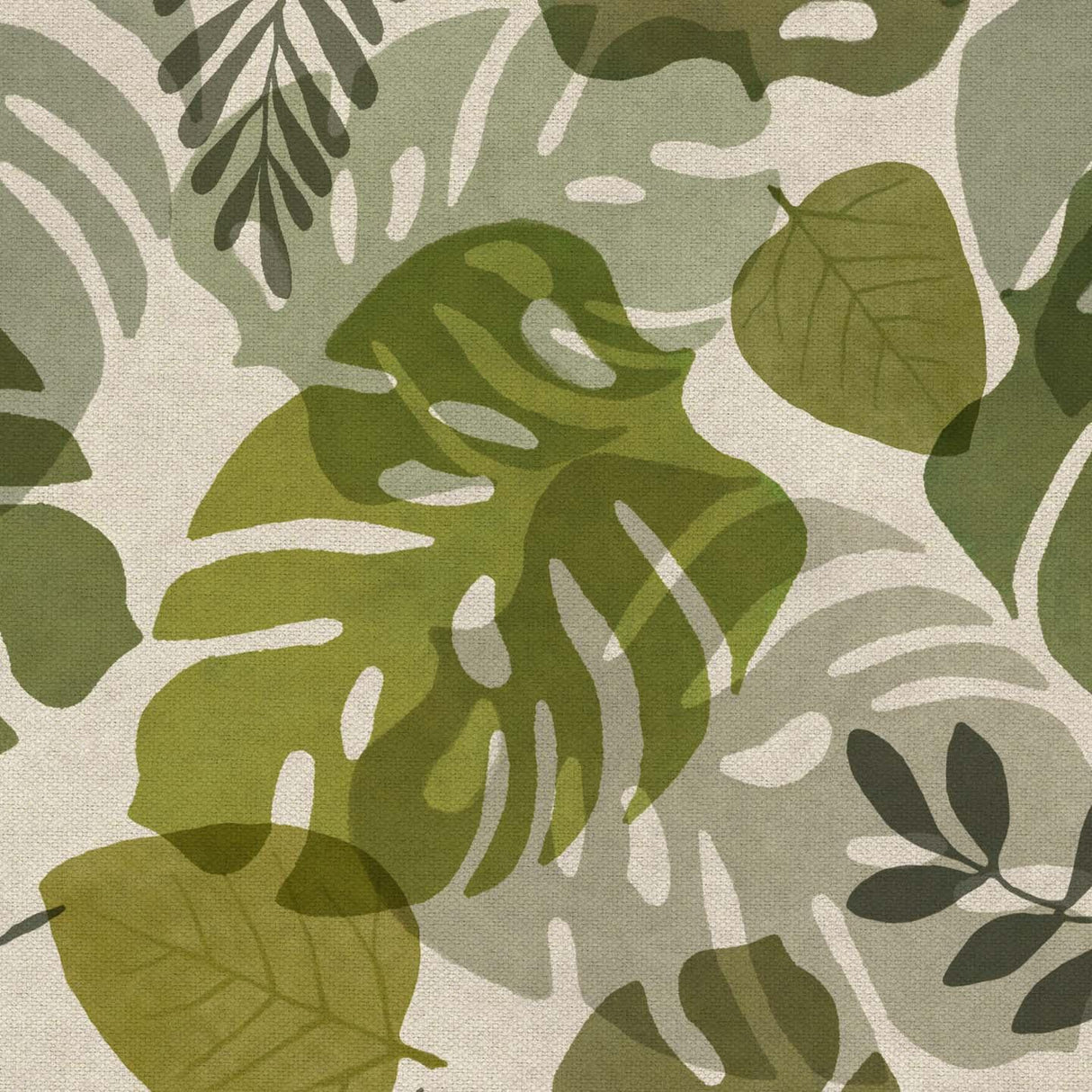 Monstera T138