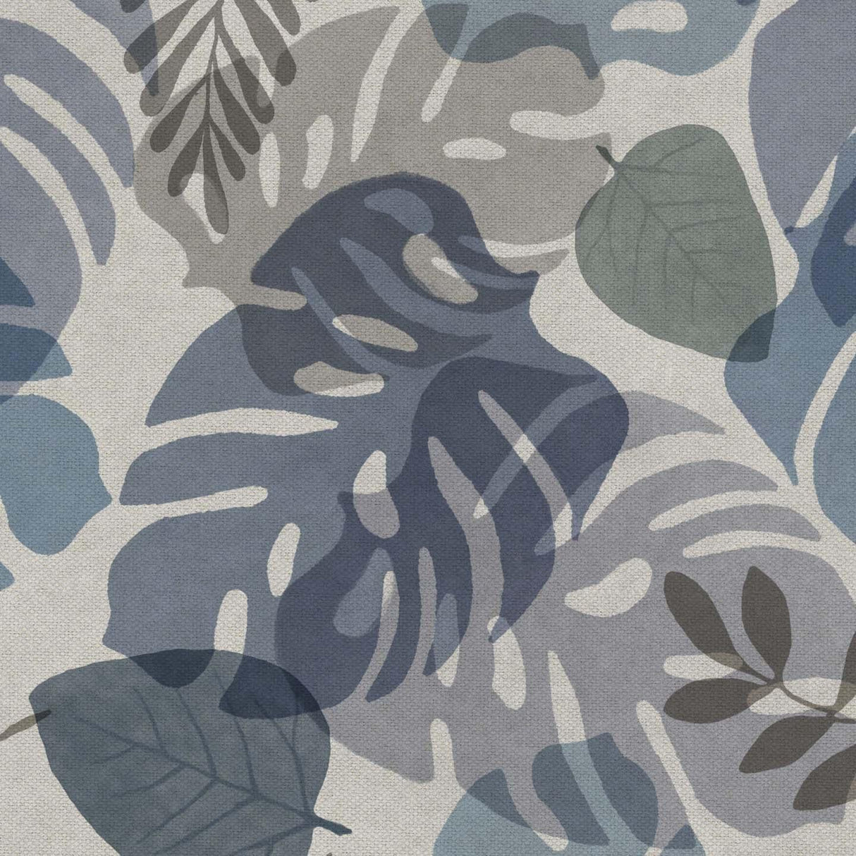 Monstera T147